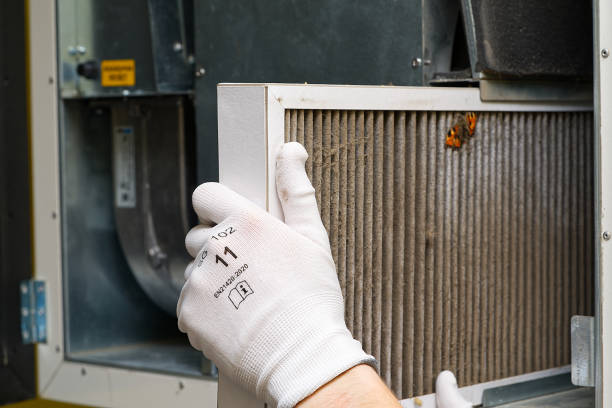 Best Professional Duct Cleaning Services  in Odenville, AL