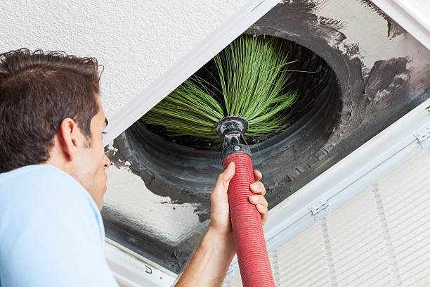 Best Affordable HVAC Duct Cleaning  in Odenville, AL